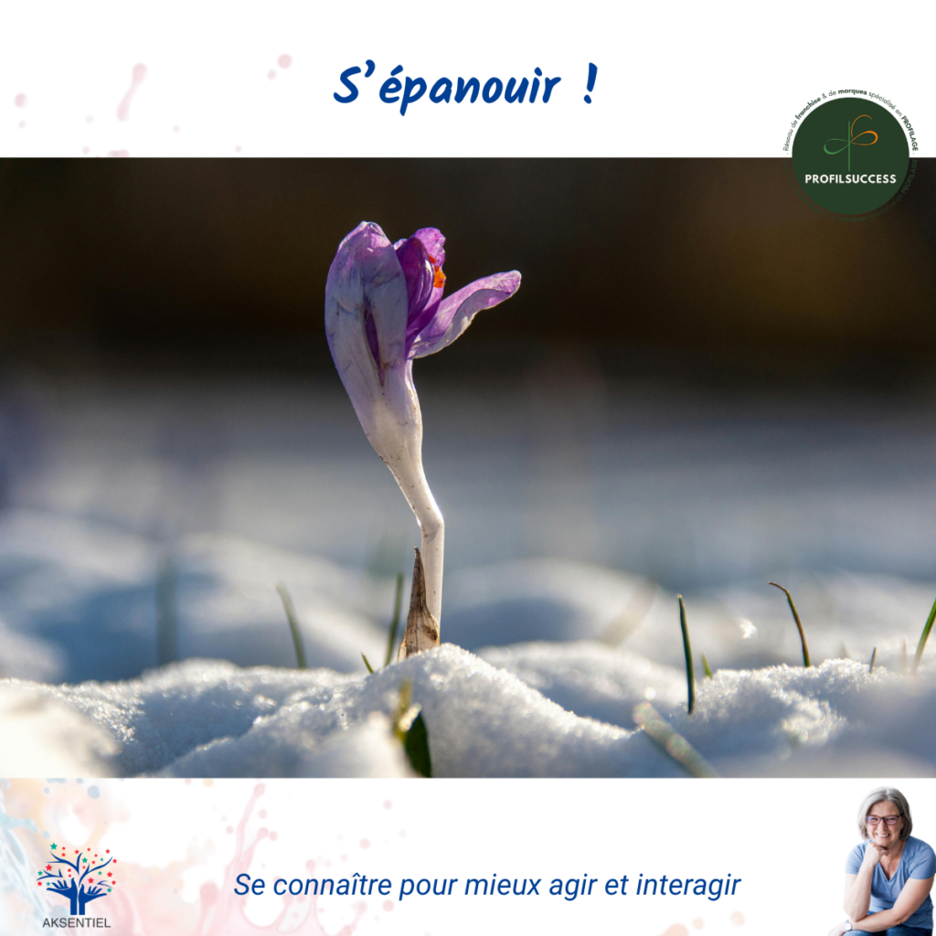 Bilan de compétences pour s'épanouir